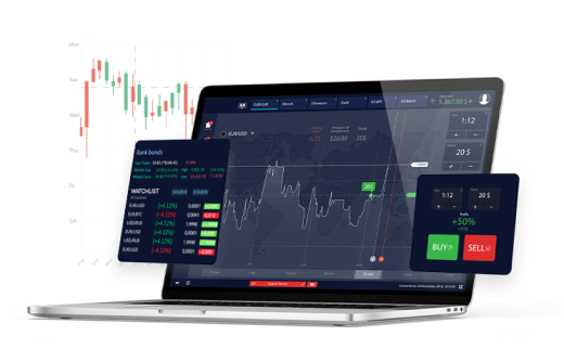 forex beginner